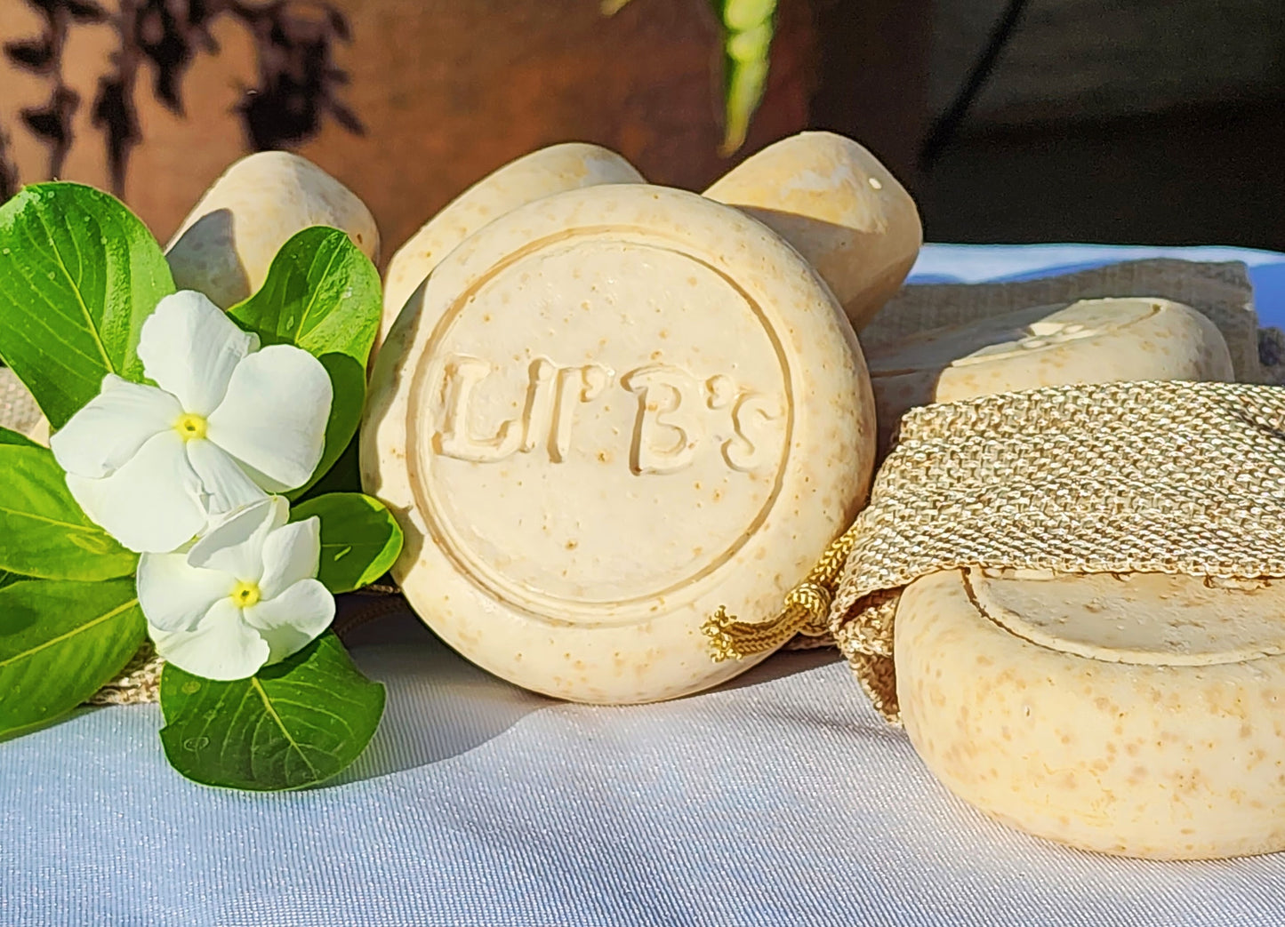 Coconut Cream Soap