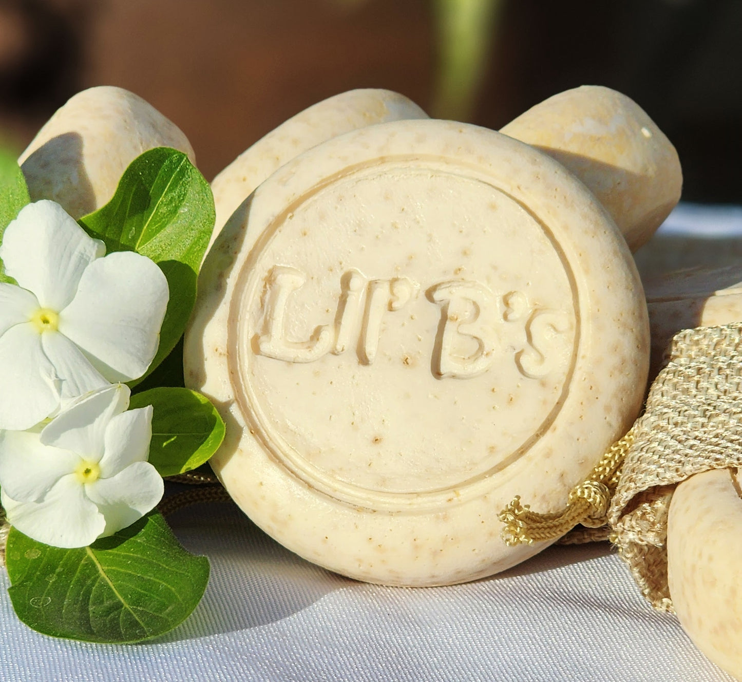 Coconut Cream Soap